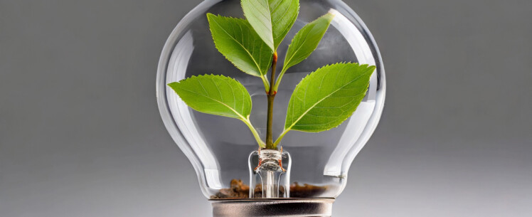Lamppu, jonka sisällä kasvaa kasvi. Kuva: Adobe Firefly 2024.