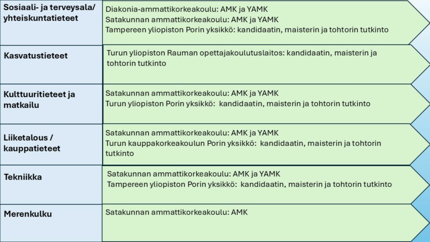 Kuvio 1. Tutkintoon johtavia jatkuvan oppimisen mahdollisuuksia Satakunnan korkeakouluissa.