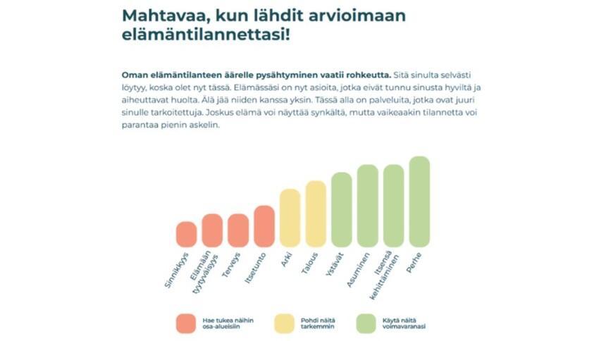 Kuva 2: näkymä Zekin itsearviosta.